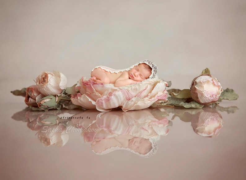 Digital Backdrop Background Newborn Baby Girl Flower Pink Etsy