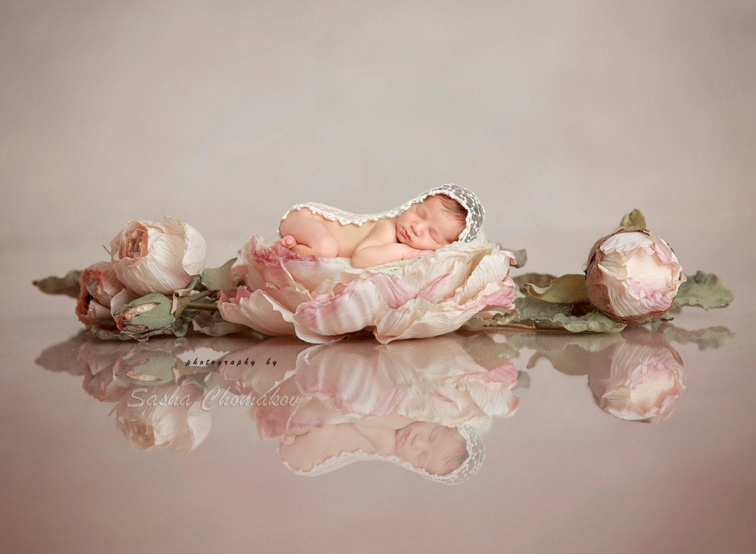 Digital backdrop  background newborn baby girl flower pink fairy tail