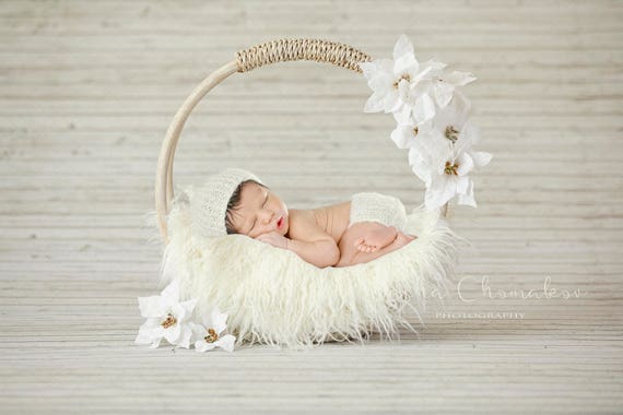 Digital backdrop background newborn baby girl or boy cream off white fur blanket basket ring wood floor Christmas poinsettia
