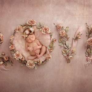 Digital backdrop, background newborn baby girl peach flowers pink flower  overhead love