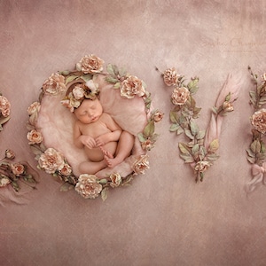 Digital backdrop, background newborn baby girl peach flowers pink flower  overhead love