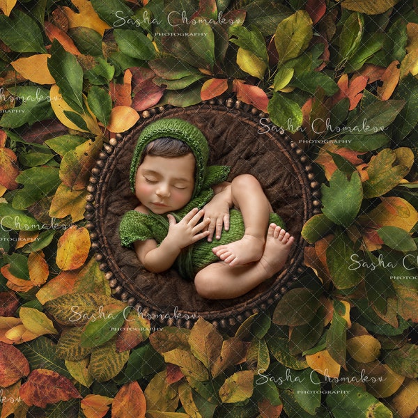 Digital backdrop background newborn   girl or boy  sitter   Fall Autumn overhead brown blanket leaves
