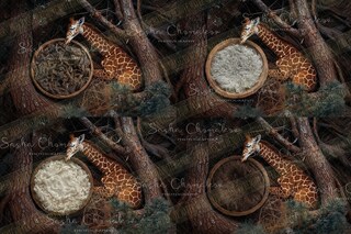 YongFoto Fondale Fotografico In Vinile 2,2x1,5 M – Zoo Cartoon Con Leone, Giraffa, Elefante | Per Festa Bambini E Studio