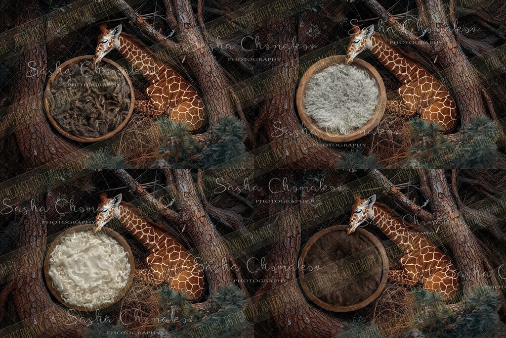 YongFoto Fondale Fotografico In Vinile 2,2x1,5 M – Zoo Cartoon Con Leone, Giraffa, Elefante | Per Festa Bambini E Studio