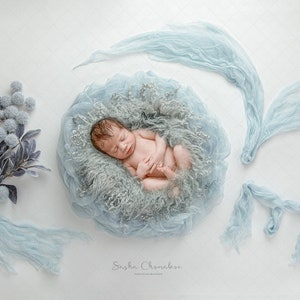 Digital backdrop, background newborn baby girl or boy gray  overhead shot fluff fur  love LOVE light blue