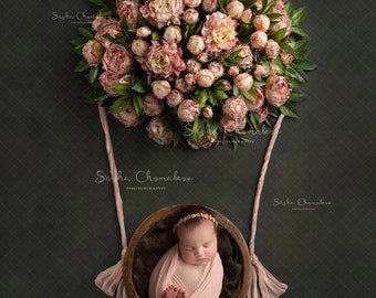 Digital backdrop background newborn   girl Spring overhead brown peony pink floral , flowers dark hot air balloon  overhead