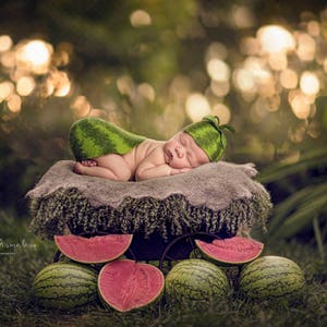 Digital backdrop, background newborn baby girl or boy water melon watermelon