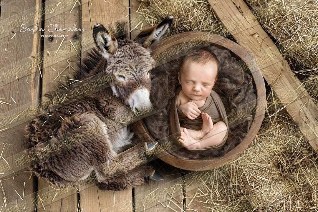 Digital Backgrounds Backdrops Newborn girl Boy Overhead Real Bowl With ...