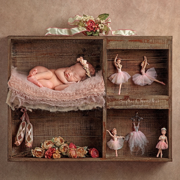 Digital backdrop, background newborn baby girl ballerina shoes music dance  shelf vintage