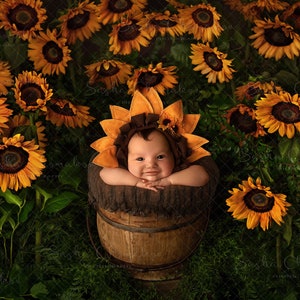 May include: A baby wearing a sunflower costume sits in a wooden bucket surrounded by a field of sunflowers.