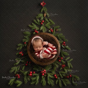 Digital backdrop, background newborn baby girl boy dark brown , tree Christmas , overhead
