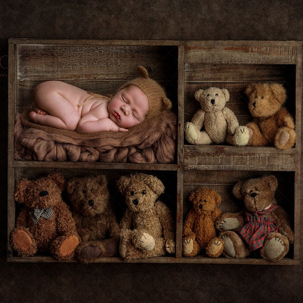 Digital backdrop, background newborn baby girl or boy teddy bear bears teddies shelf