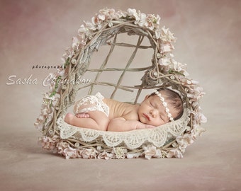 digital backdrop  background newborn baby girl  basket heard Valentine's day flowers