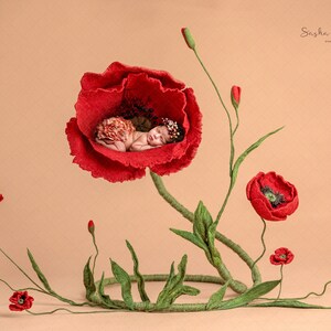 Digital backdrop, background newborn baby girl red poppy  flower felted blankets floor art  felt , felted  wool felt felting felted