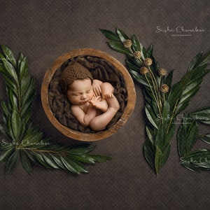 Digital backdrop, background newborn baby girl or boy brown  fur  Valentine&#39;s day v-day  love overhead dark