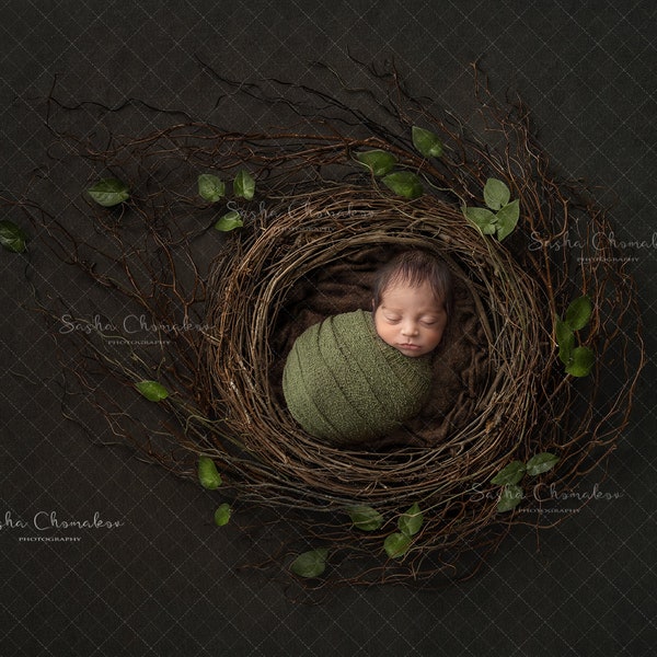 Digital backdrop, background newborn baby girl boy bowl natural dark brown green nest vintage  brown  blanket overhead