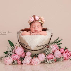 Digital Backdrop Background Newborn Baby Girl Peony Flowers - Etsy