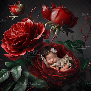 Digital backdrop, background newborn baby  girl , hand painted red roses floral flowers Spring Summer Valentine&#39;s day