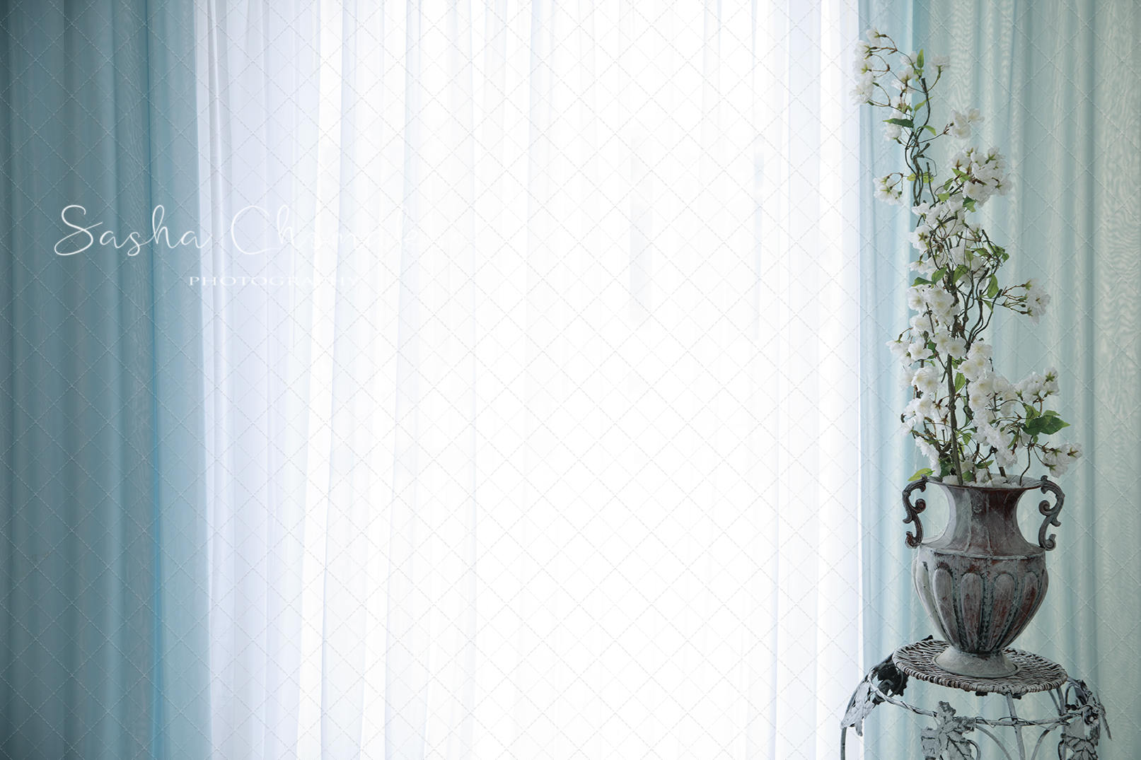 Digital Backdrop Background Maternity in Front of the Window Etsy Ireland