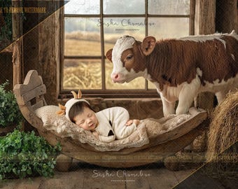 5 different Digital backgrounds backdrops newborn baby boy girls bum up Ai generated cows cowboy cowgirl barn farm