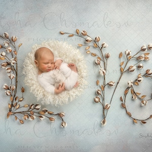 Digital backdrop background newborn  baby boy girl  floral  cotton cream fur blanket overhead blue, blues  wreath love LOVE