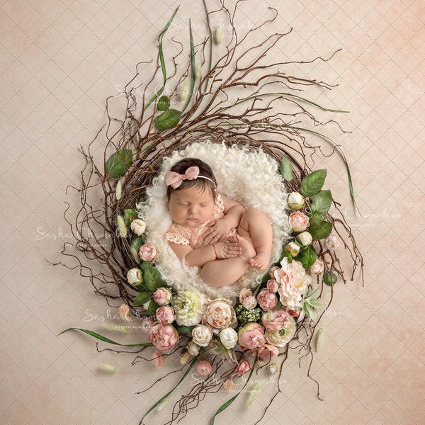 Digital backdrop background newborn girl Spring overhead  branches light fur cream white branches nest egg Easter overhead