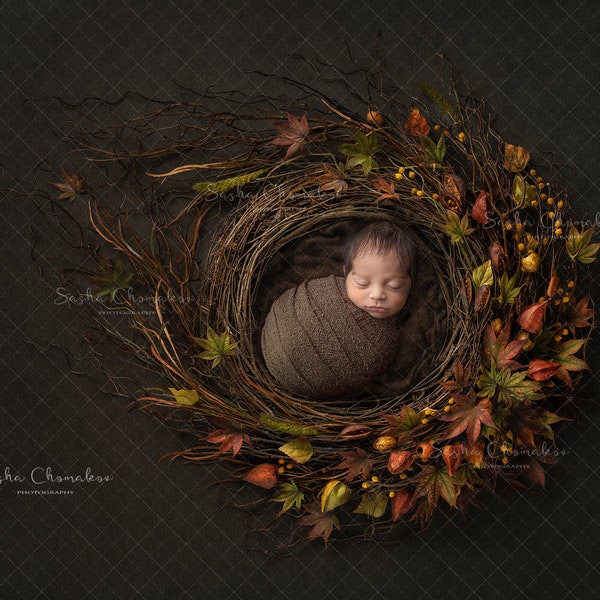 Digital backdrop, background newborn baby girl boy bowl natural dark brown green nest vintage  brown  blanket overhead Fall Autumn