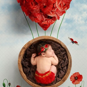May include: A newborn baby girl sleeping in a wooden bowl, surrounded by red poppy flowers. The bowl is suspended in the air by a heart-shaped arrangement of red poppy flowers.