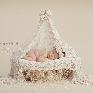 digital backdrop  background newborn girl vintage  cream lace soft pink
