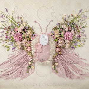 Digital backdrop background newborn   girl flowers , roses  overhead light natural pink peach insert butterfly purple