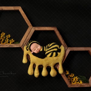 Digital backdrop background newborn baby  girl or boy    wood  bubble bee hexagon basket  yellow  wool blanket  black yellow blanket