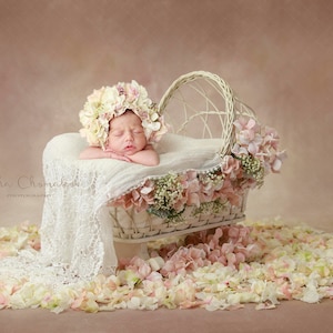 Digital backdrop, background newborn baby girl pink flowers peach cream  white