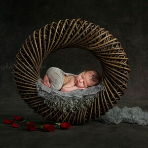 Digital backdrop, background newborn baby girl  boy ,Valentines day     red roses gray dark wreath rattan  wood