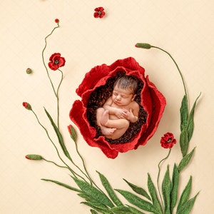 Digital backdrop, background newborn baby girl red poppy  flower felted blankets floor art  felt , felted  wool felt felting felted