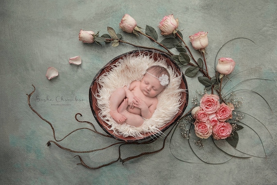 Digital Backdrop, Background Newborn Baby Girl or Boy White Fur Cream  Blanket Roses Overhead Shot Look -  Canada