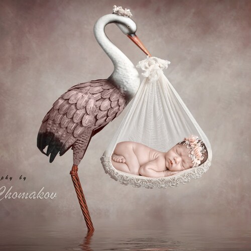 Digital Backdrop Background Newborn Baby Girl Pink Stork - Etsy