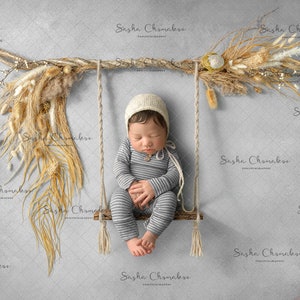 Toile de fond numérique, arrière-plan nouveau-né bébé fille garçon au-dessus de la tête balançoire grise au-dessus de la tête boho, fleurs d’herbe sèche