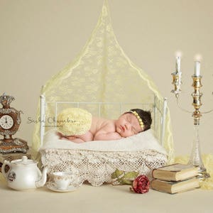 digital backdrop  background newborn baby girl  Beauty and the beast