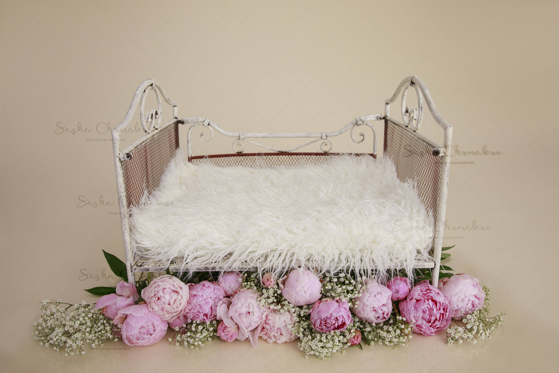 Digital backdrop background newborn baby girl peony flowers Etsy