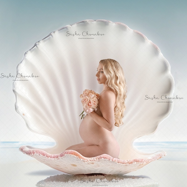 Digital backdrop, background newborn baby  girl maternity sitter seashell mermaid