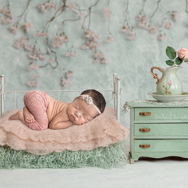 Digital backdrop, background newborn baby girl pink flower peach green blue bed dresser