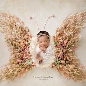Digital backdrop background newborn   girl butterfly  boho pink peach dry flowers overhead earth tones