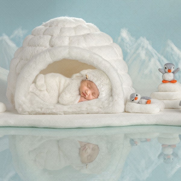 Digitale Kulisse, Hintergrund Neugeborenes Baby Mädchen oder junge Winter Iglu Weihnachten Pinguine Reflexion Herz Wolle Filz gefilzt weiß