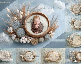 7  Digital backgrounds backdrops newborn baby girls boys overhead pose  moons with cactuses eucalyptus boho  Ai generated 