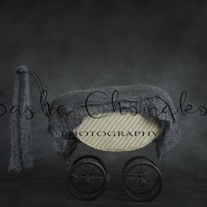digital backdrop  background newborn baby  twins girl boy  stroller gray