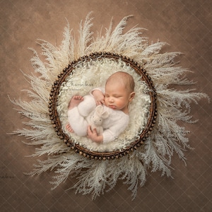 Toile de fond numérique, bébé nouveau-né de fond ou garçon au-dessus du regard boho blanc, couronne blanche brune d’herbe blanche de pampas de fourrure