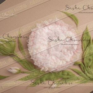 Digital backdrop, background newborn baby girl  overhead forest flower felted pink tulip green brown