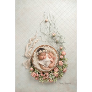 Digital backdrop background newborn girl boy Spring overhead  branches pink peach light fur cream white branches cactus succulent ribbon