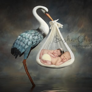 digital backdrop  background newborn baby  twins girl boy  stork  stork