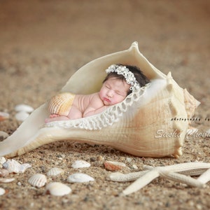 Op de afbeelding: Een pasgeboren baby slaapt rustig in een grote schelp. De baby draagt een wit hoofdband met parels en een witte kanten wikkel. De schelp ligt op een bed van zand met andere schelpen en zeesterren.